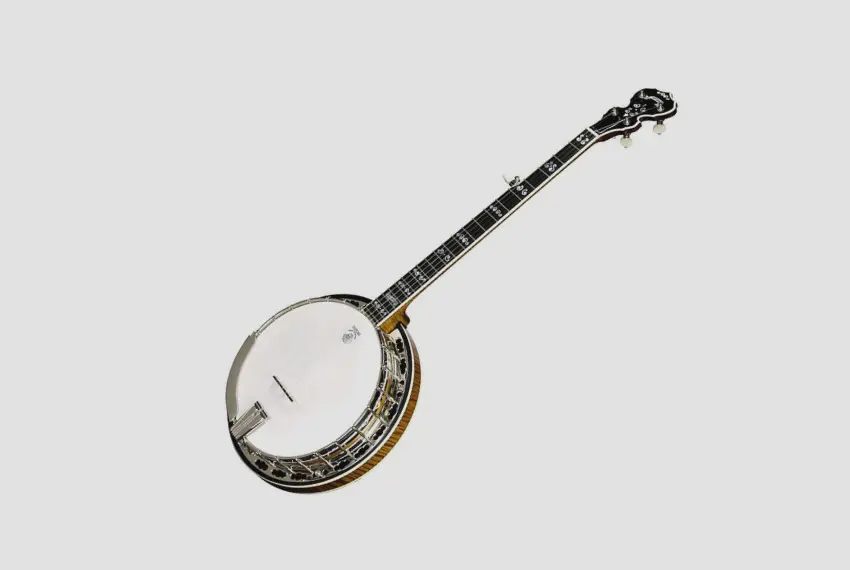 12 String Banjo