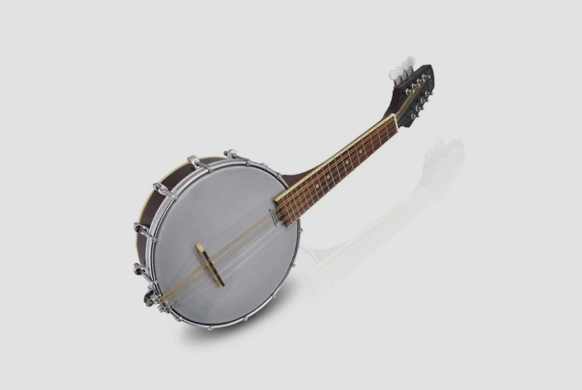 Hybrid Banjo