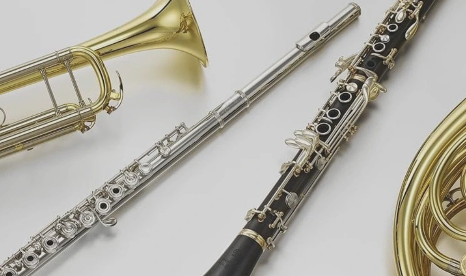 Differences Between Brass and Woodwind