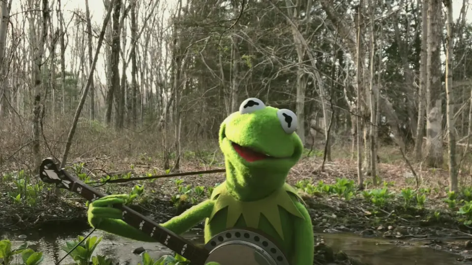 Rainbow Connection by Kermit the Frog